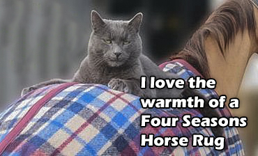 Horse wearing Four Seasons rug
